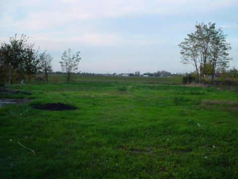 dsc06070.jpg